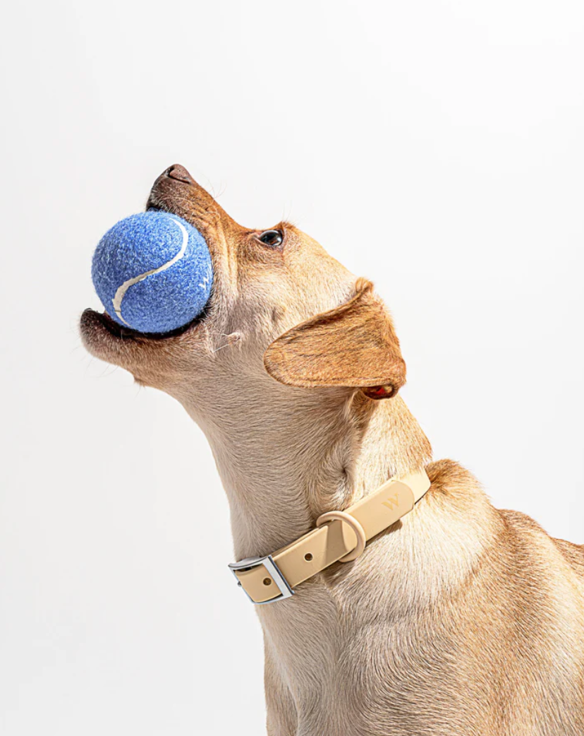 Tennisball