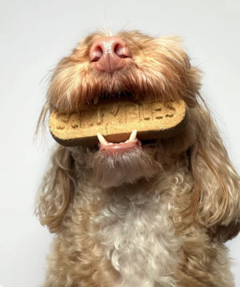 Dental Sticks